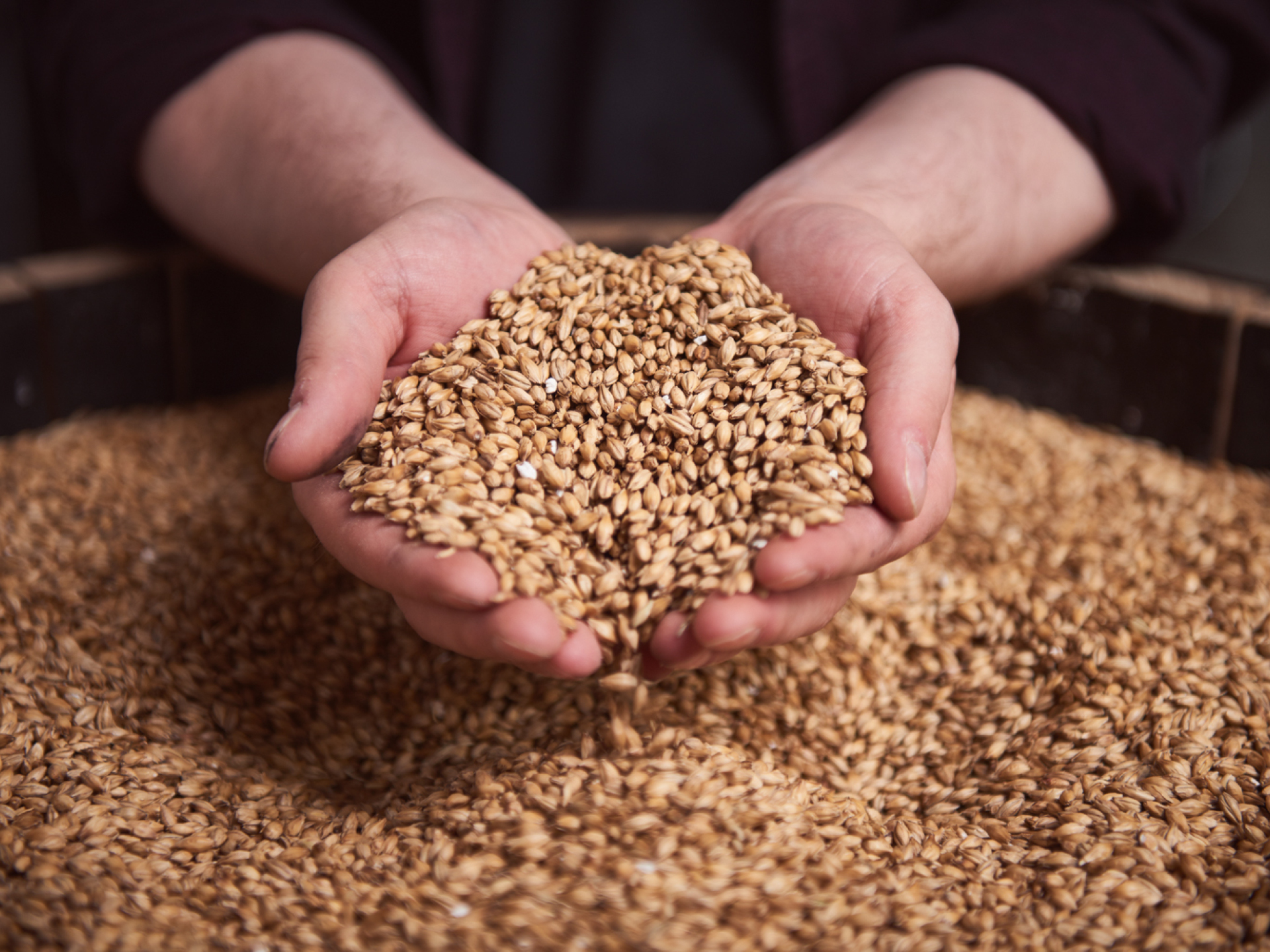 Luigidipasquale 016 tour rebrand