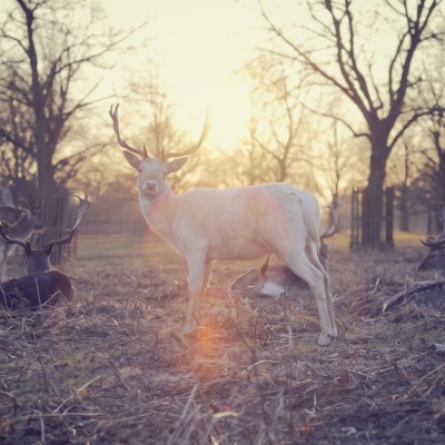 Nature 768569 1920 2 listing rebrand