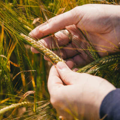 3be00d54 52d7 6b07 e20d 301d5e4fda4f listing rebrand