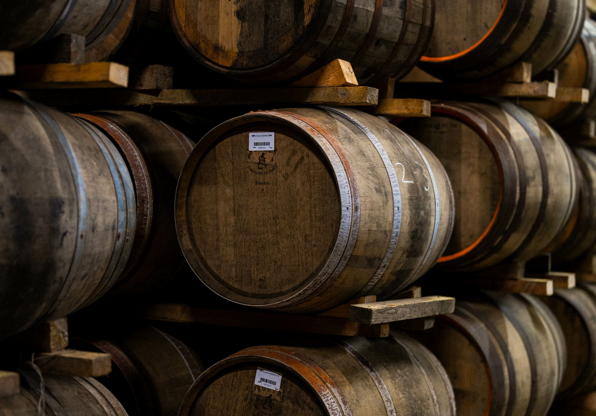 Dsc08815 %281%29 full image rebrand