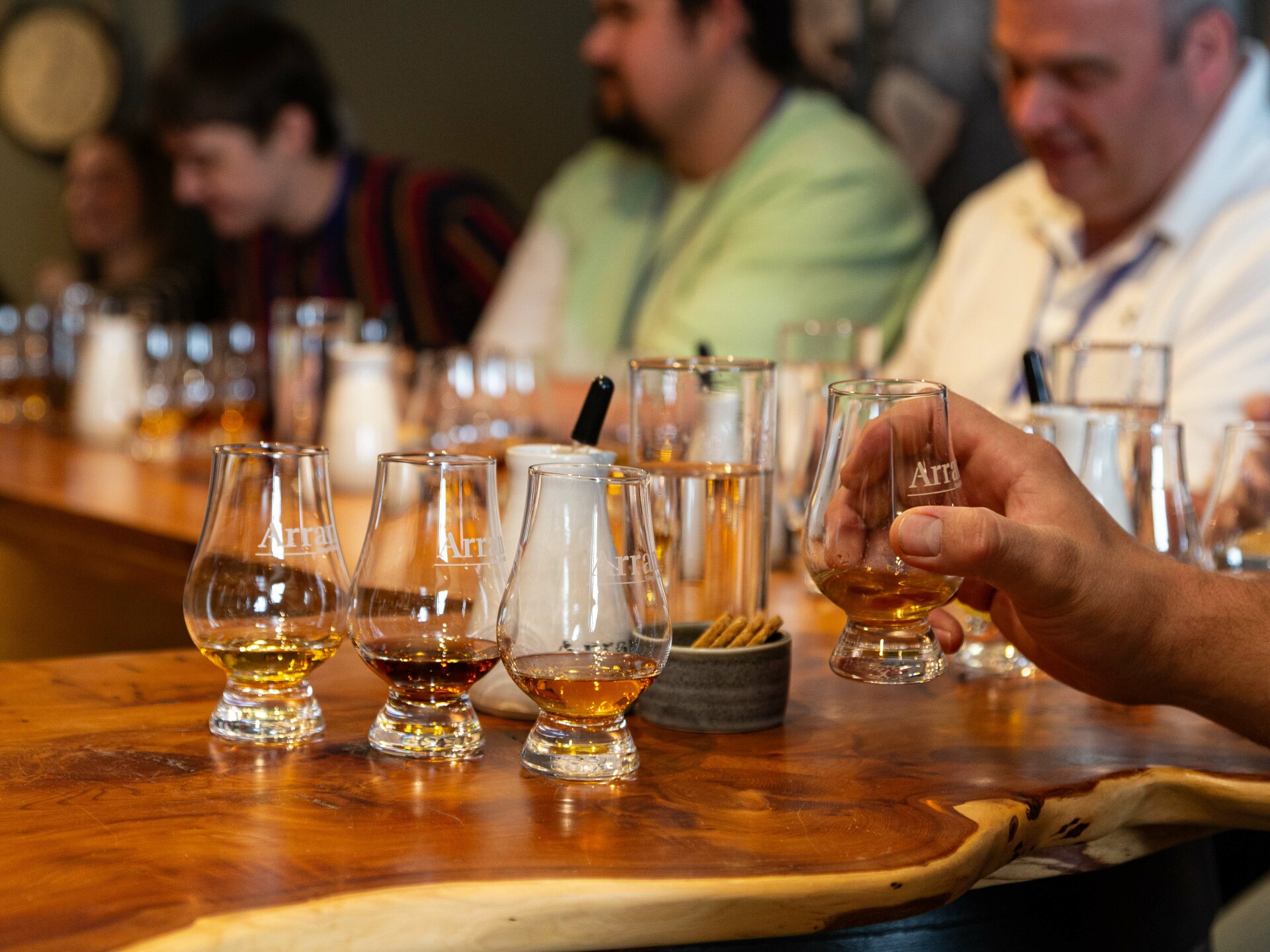 M   m fest 2025 101 tour rebrand