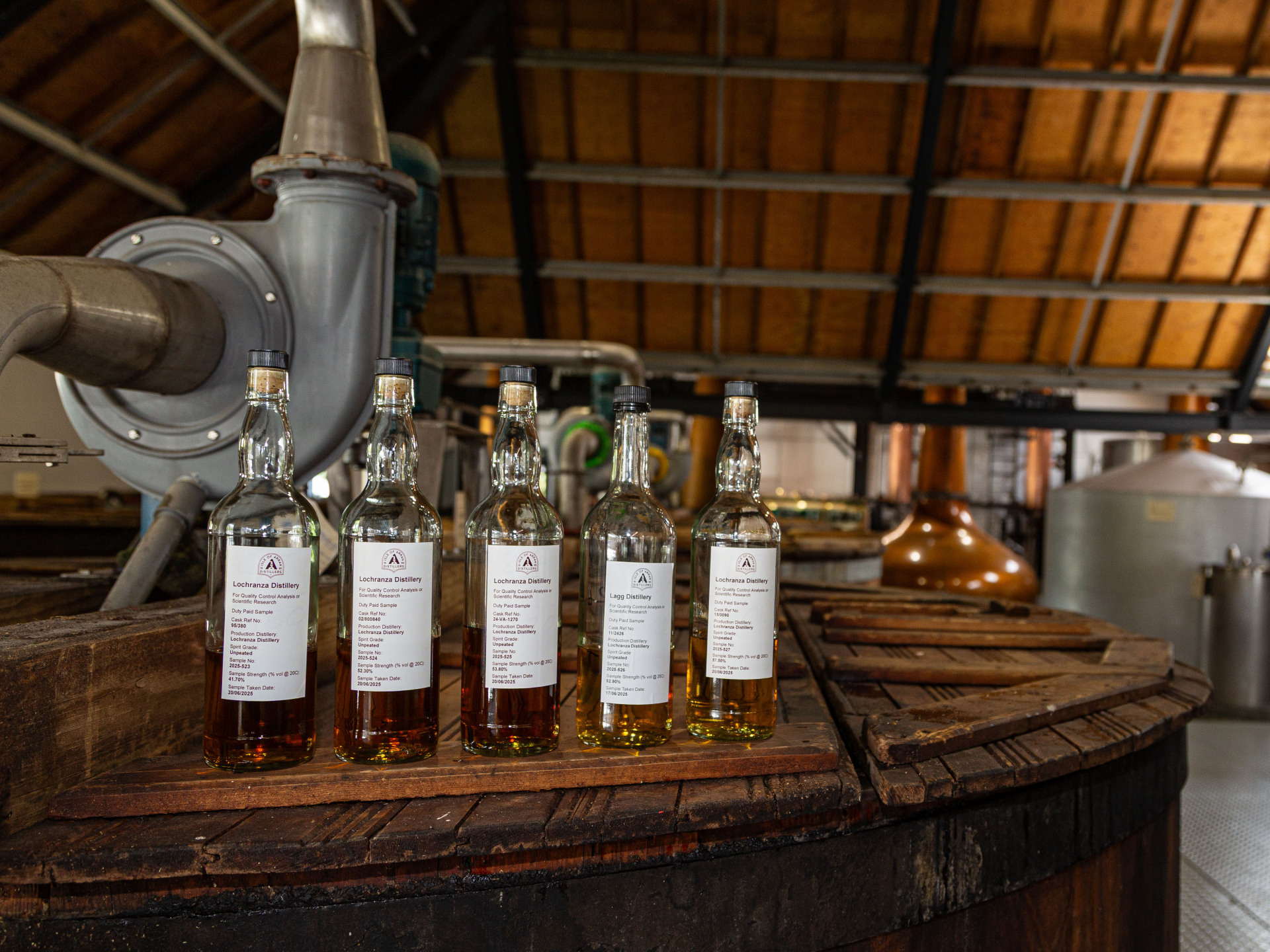 M   m fest 2025 28 tour rebrand